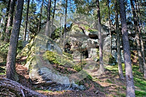 Mountain Ameisenberg rock in Zittau Mountains