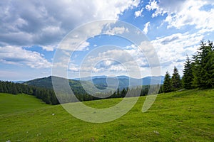 Mountain Apuseni Zona Padis Romania