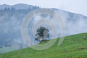 Mountain area view in slovakia