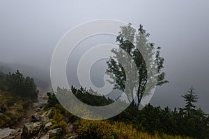 Pohled na horskou oblast na slovensku - vintage vzhled