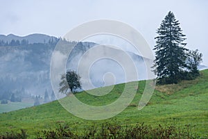 Mountain area view in slovakia