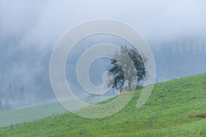 Mountain area view in slovakia