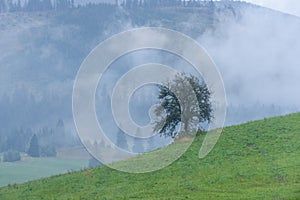 Mountain area view in slovakia - vintage look