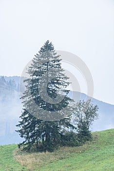 Mountain area view in slovakia - vintage look