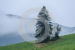 Mountain area view in slovakia - vintage look