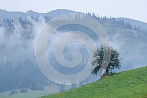 Mountain area view in slovakia - vintage look