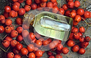 Mountain ash berry oil