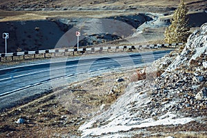 Mountain asphalt road