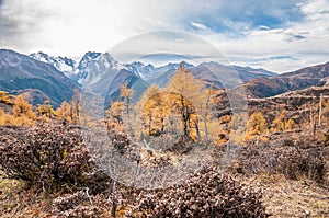 Mountain autumn landscape