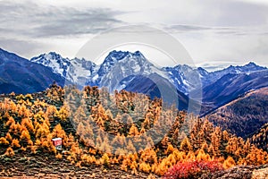 Mountain autumn landscape