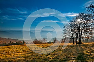 The mountain autumn landscape in Beskidy