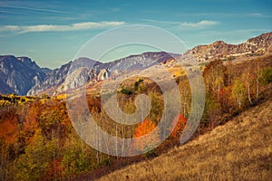 Mountain autumn landscape with colorful forest