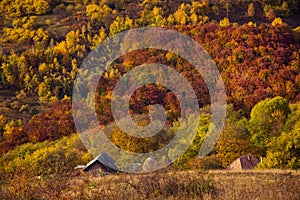 Mountain autumn landscape with colorful forest