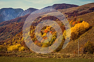 Mountain autumn landscape with colorful forest