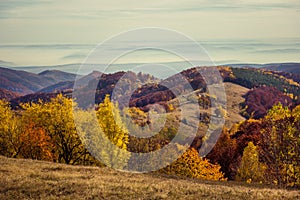 Mountain autumn landscape with colorful forest