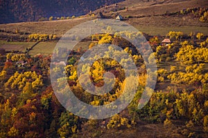 Mountain autumn landscape with colorful forest