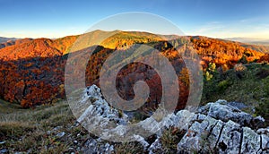 Mountain autumn landscape with colorful forest