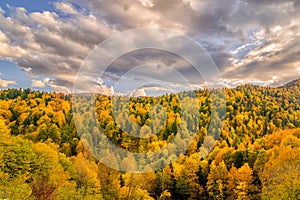 The mountain autumn landscape with colorful forest. Golden autumn in the forest. Caucasus mountains, Adygea, Russia