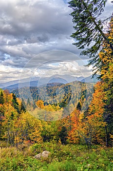 The mountain autumn landscape with colorful forest. Golden autumn in the forest. Caucasus mountains, Adygea, Russia