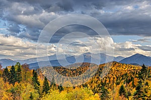 The mountain autumn landscape with colorful forest. Golden autumn in the forest. Caucasus mountains, Adygea, Russia