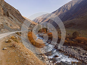 Mountain autumn landscape. dirt road with a stream and forest in toned colors in Kyrgyzstan