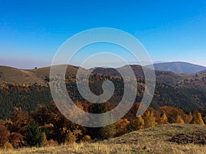 Mountain autumn landscape with rusty trees in Cindrel Mountains, Romania