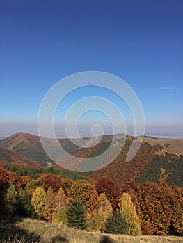 Mountain autumn landscape with rusty trees in Cindrel Mountains, Romania