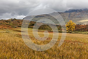 The mountain autumn landscape, Sarek national park