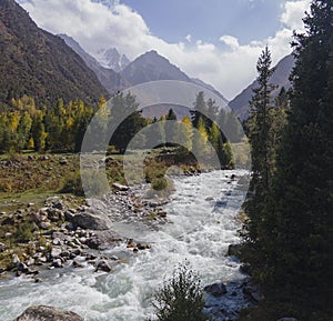 Mountain autumn landscape, stream and forest in toned colors in Kyrgyzstan