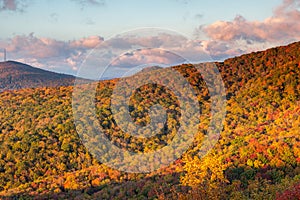 Mountain Background Trees in Autumn in NC