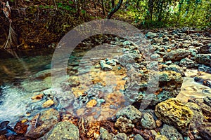 Mountain backwater on a stream among the waves in tropical jungle on sunny day