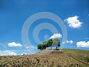 Mountain bald and blue sky.