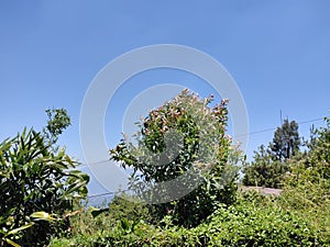 Mountain in bandungan view