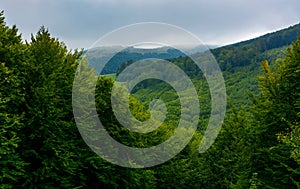 Mountain behind the forested hill