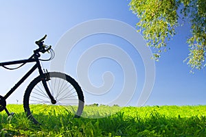 Mountain bicycle