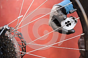 Mountain bicycle repairing. Master fixing MTB rear wheel spokes
