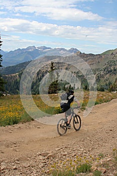 Mountain bike photo