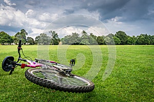 Mountain Bike Activity in Field