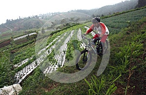 Mountain bike