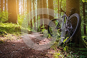 Mountain Bike photo