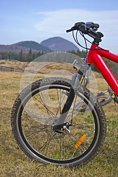 Mountain bike detail