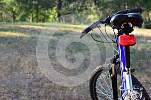 Mountain bike in the forest