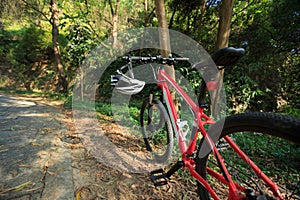 Mountain bike on forest