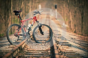 Mountain bike in the forest on rails