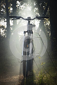 Mountain bike in the forest is sundered by a ray