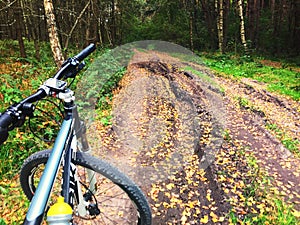 Mountain bike on forest trail