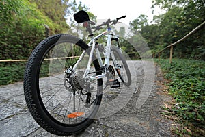 Mountain bike on forest trail