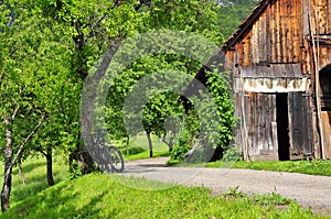 Mountain bike lane and traditional wooden hay shack