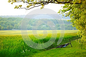 Mountain bike laying near the field or meadow.