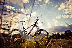 Mountain bike MTB on green summer forest trail, inspirational la